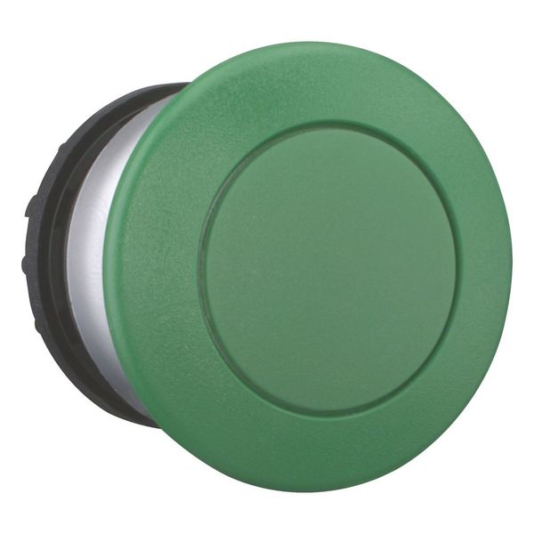 Mushroom actuator, RMQ-Titan, Mushroom, maintained, Mushroom green, green, Blank, Bezel: titanium image 6