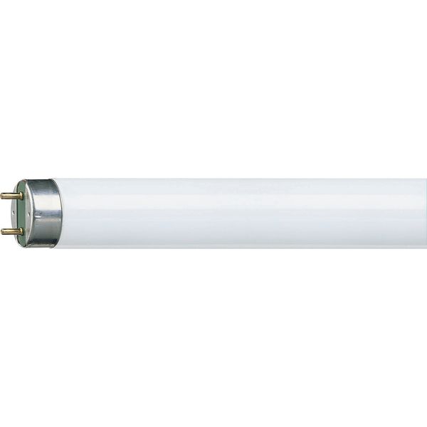 Fluorescent Tube 58W/29 150cm T8 TL-D image 1