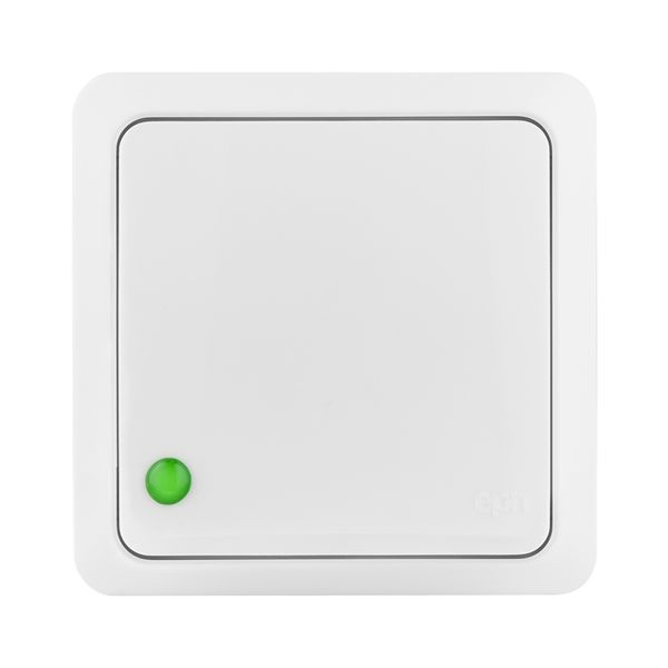 BERG PUSH "LIGHT" SWITCH image 1