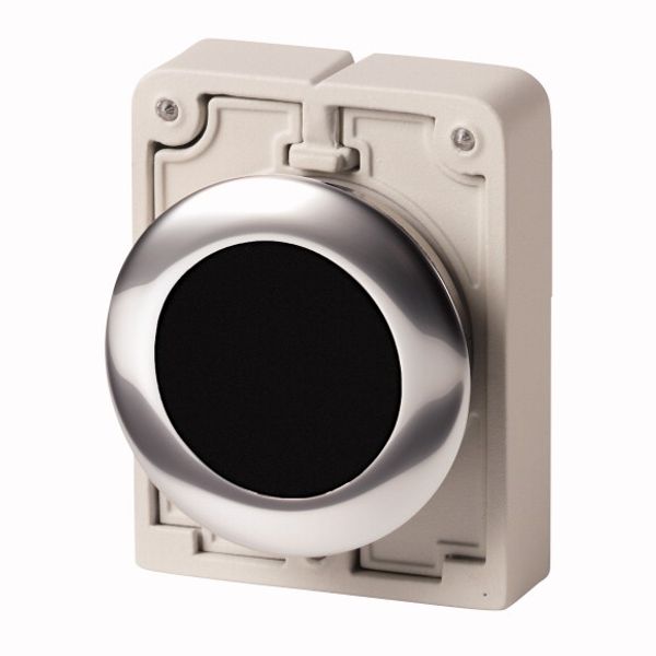 Pushbutton, RMQ-Titan, Flat, maintained, black, Blank, Metal bezel image 1