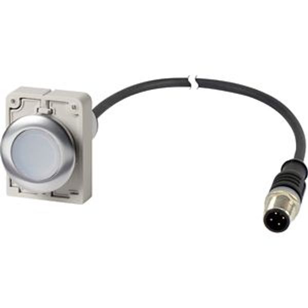 Illuminated pushbutton actuator, Flat, maintained, 1 N/O, Cable (black) with M12A plug, 4 pole, 1 m, LED white, White, Blank, 24 V AC/DC, Metal bezel image 2