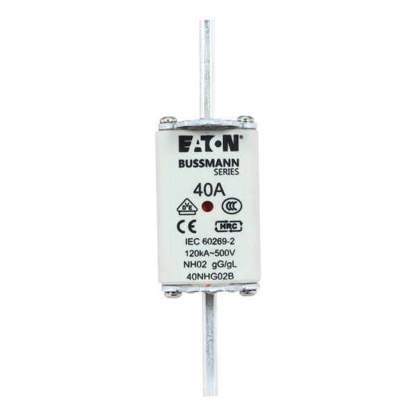 Fuse-link, LV, 40 A, AC 500 V, NH02, gL/gG, IEC, dual indicator, live gripping lugs image 12