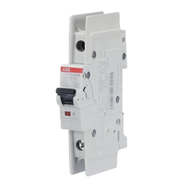 BWS625YTPN Safety switch image 3