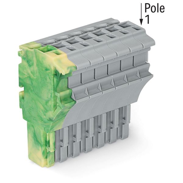 1-conductor female connector Push-in CAGE CLAMP® 4 mm² gray image 2