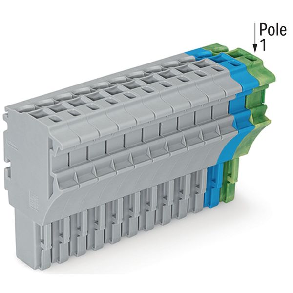 1-conductor female connector Push-in CAGE CLAMP® 4 mm² gray/blue/green image 1