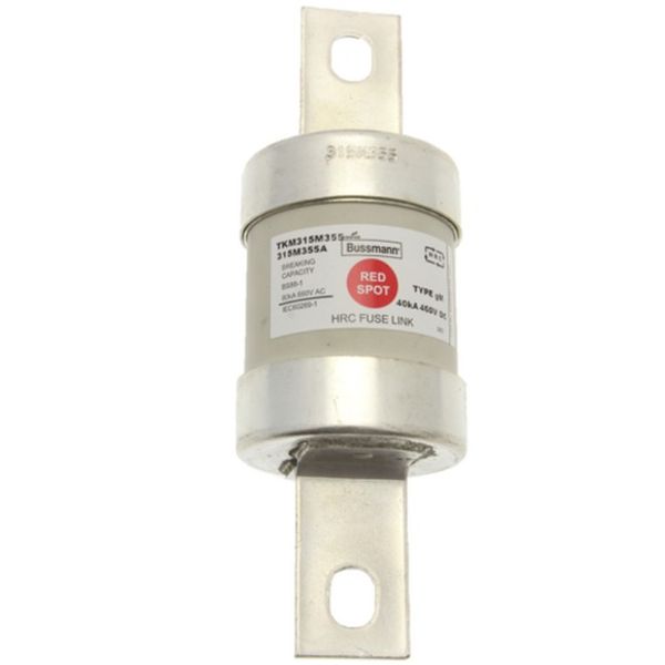 Fuse-link, LV, 315 A, AC 660 V, DC 460 V, BS88, 53 x 160 mm, gL/gG, BS image 2