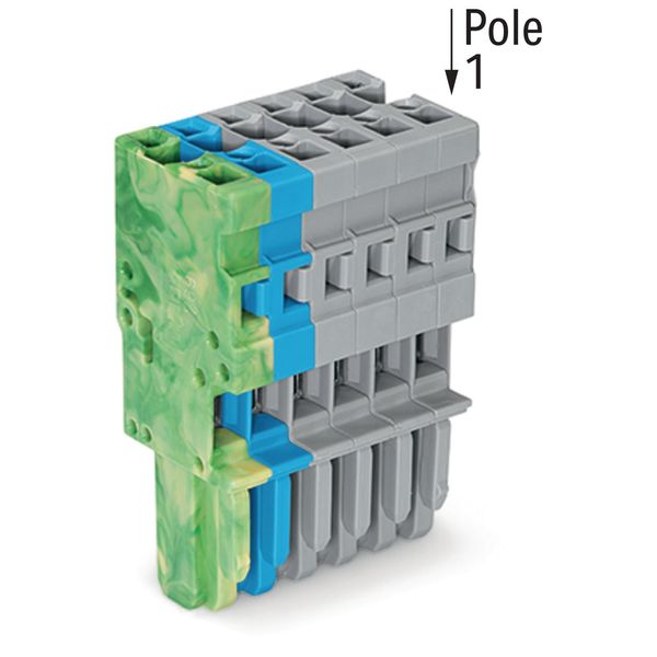 1-conductor female connector CAGE CLAMP® 4 mm² green-yellow, blue, gra image 2