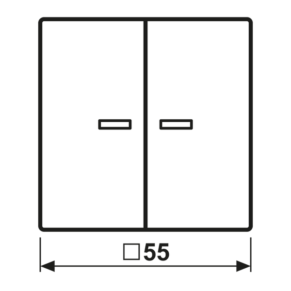 2G Rocker w. 2 lenses AS591-5KO5 image 7