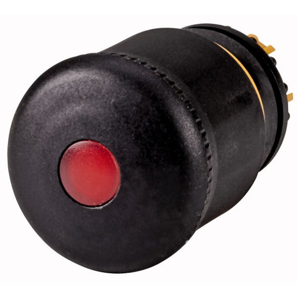 HALT/STOP-Button, RMQ-Titan, Mushroom-shaped, 38 mm, Illuminated with LED element, Pull-to-release function, Black, yellow, RAL 9005 image 1