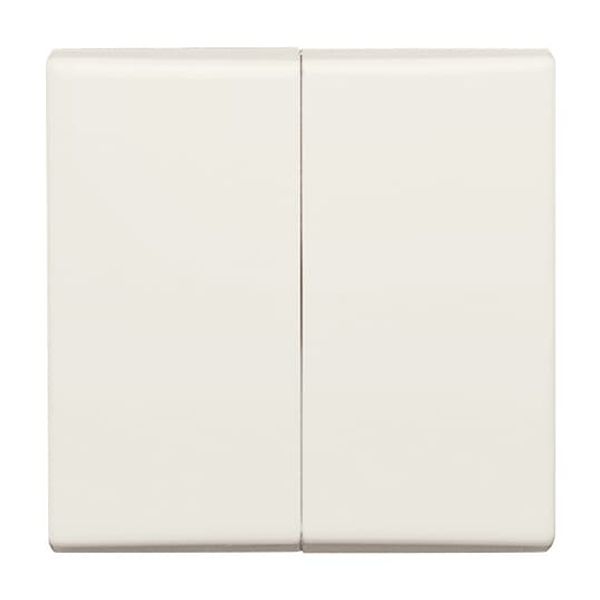 2108-32 CoverPlates (partly incl. Insert) carat® White image 7