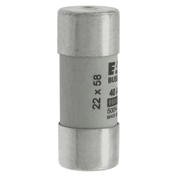 Fuse-link, LV, 40 A, AC 690 V, 22 x 58 mm, gL/gG, IEC, with striker image 11