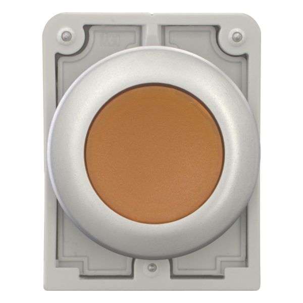 Illuminated pushbutton actuator, RMQ-Titan, Flat, momentary, orange, Blank, Metal bezel image 10
