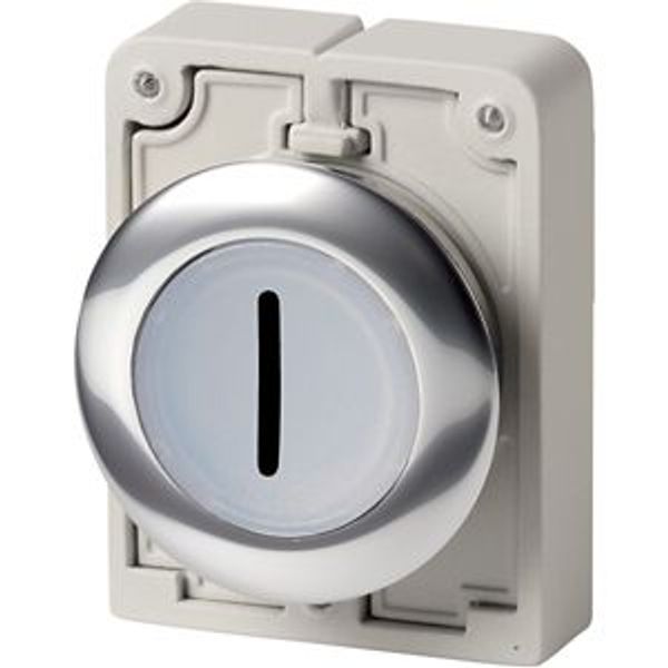 Illuminated pushbutton actuator, RMQ-Titan, Flat, maintained, White, inscribed 1, Metal bezel image 2