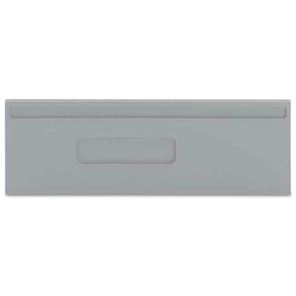 Separator plate 2 mm thick oversized gray image 3