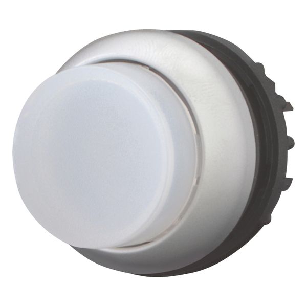 Illuminated pushbutton actuator, RMQ-Titan, Extended, momentary, White, Blank, Bezel: titanium image 3