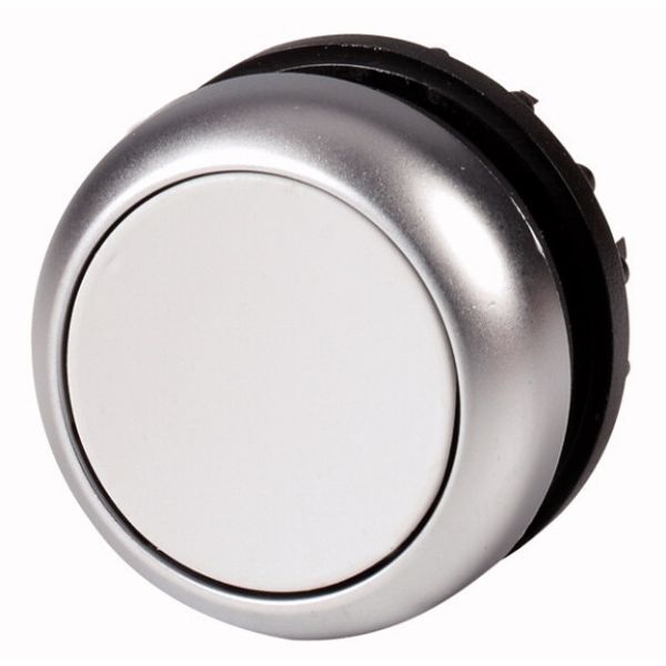 Pushbutton, RMQ-Titan, Flat, momentary, gray, Blank, Bezel: titanium image 1