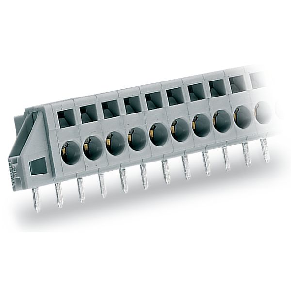 PCB terminal block 2.5 mm² Pin spacing 5 mm gray image 4