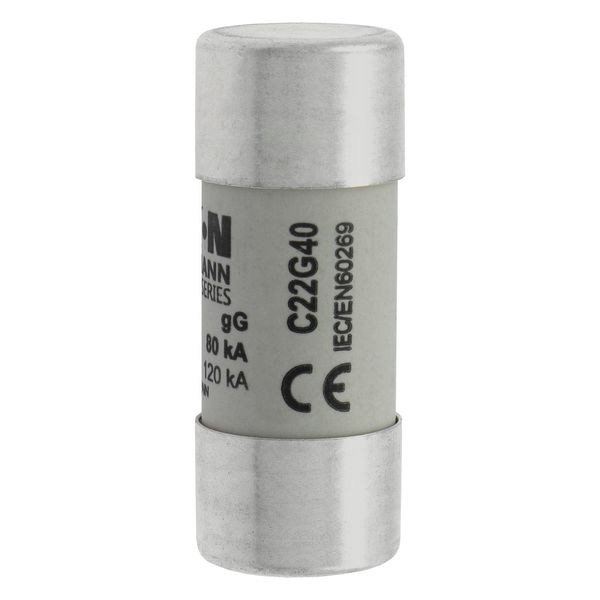 Fuse-link, LV, 40 A, AC 690 V, 22 x 58 mm, gL/gG, IEC image 9