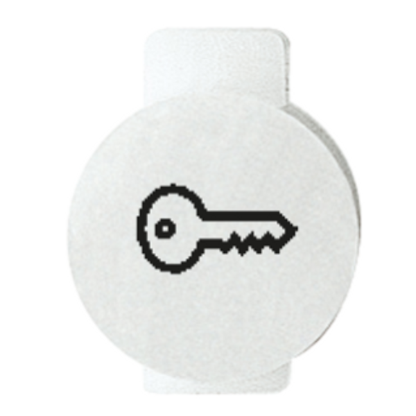 LENS WITH ILLUMINATED SYMBOL FOR COMMAND DEVICES - OPEN DOOR - SYMBOL KEY - SYSTEM WHITE image 1