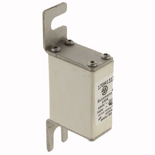 Fuse-link, high speed, 100 A, AC 690 V, DIN 000, 21 x 40 x 100 mm, aR, DIN, IEC image 4