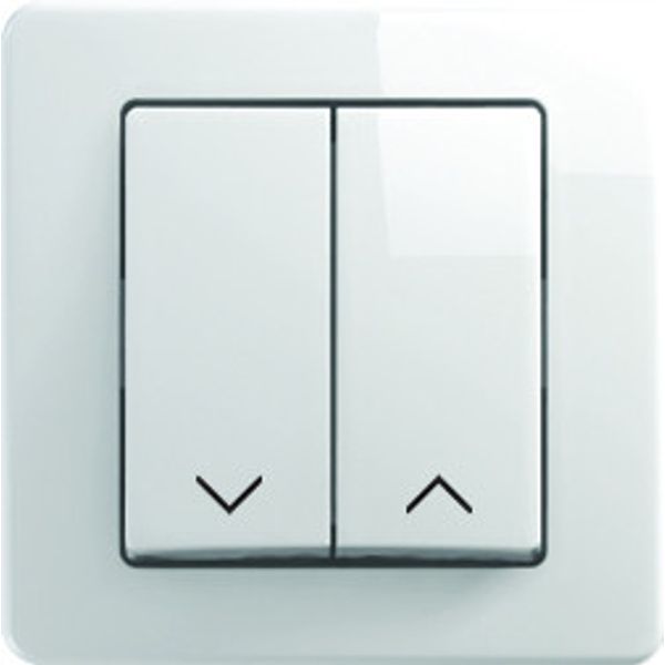 PUSH BUTTON SHUTTERS 10A 250V~ PW NT 09 4315314 image 1