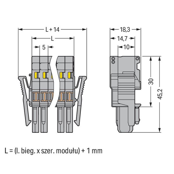 1-conductor female connector CAGE CLAMP® 4 mm² gray image 4