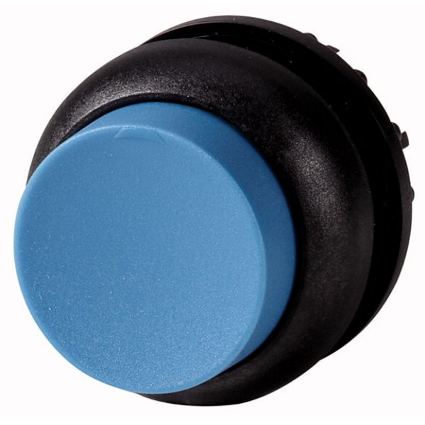 Pushbutton, RMQ-Titan, Extended, momentary, Blue, Blank, Bezel: black image 1