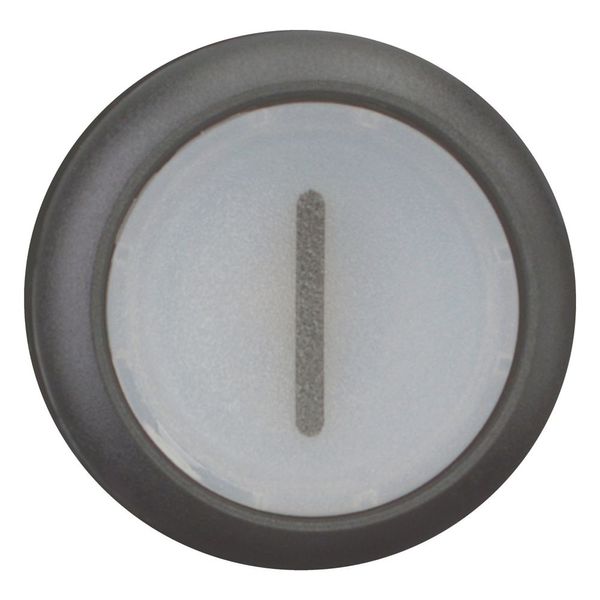 Illuminated pushbutton actuator, RMQ-Titan, Flush, momentary, White, inscribed 1, Bezel: black image 3
