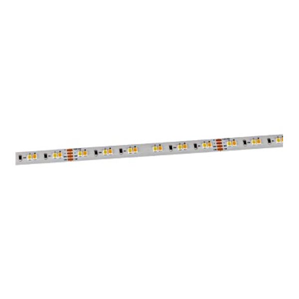 LEDSTRIPE 5M CCT 14,4W/M 1355LM/M CRI90 image 1