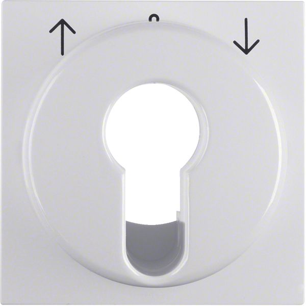 Centre plate for blind switch and key switch polar white glossy image 1