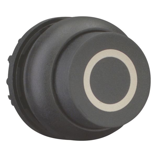Pushbutton, RMQ-Titan, Extended, maintained, black, inscribed, Bezel: black image 13