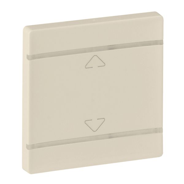 Cover plate Valena Life - Up/Down symbol - 2 modules - ivory image 1
