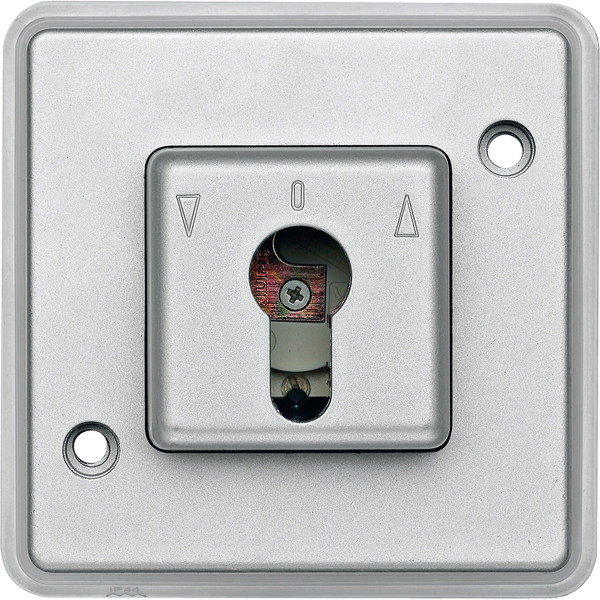 Push-btn DIN cylinder key switch insrt f. roller shut.s, aluminium, Anti-Vanda. image 4