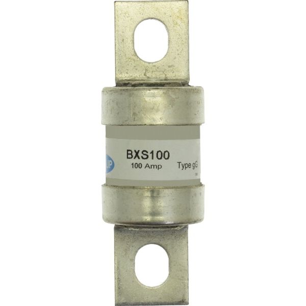 BXS100 100AMP FUSE LINK FOR SASIL FUSE SWITCH image 2