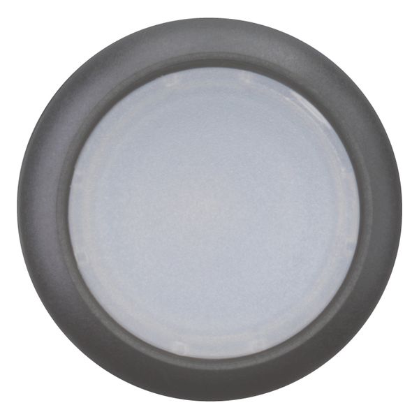 Illuminated pushbutton actuator, RMQ-Titan, Flush, maintained, White, Blank, Bezel: black image 4