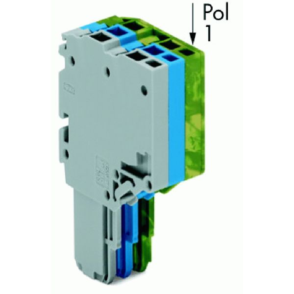 2-conductor female connector Push-in CAGE CLAMP® 1.5 mm² gray/blue/gre image 3