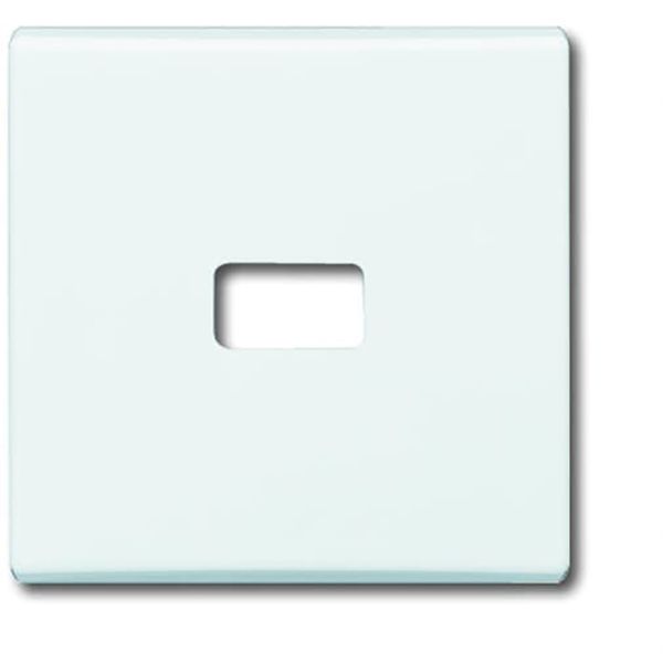 2120-32 CoverPlates (partly incl. Insert) carat® White image 1