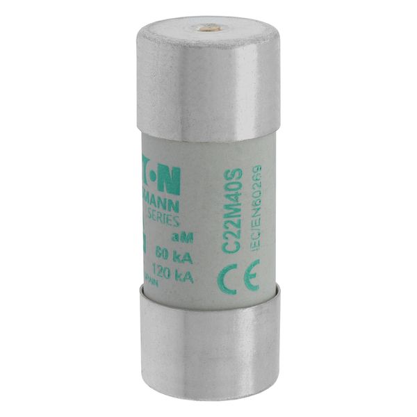 Fuse-link, LV, 40 A, AC 690 V, 22 x 58 mm, aM, IEC, with striker image 17