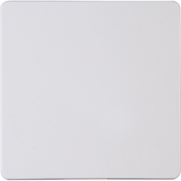 PARIS - flush-mounted rocker, without lens, dimensions 57.2x57.2x17.4mm, colour: arctic white image 1