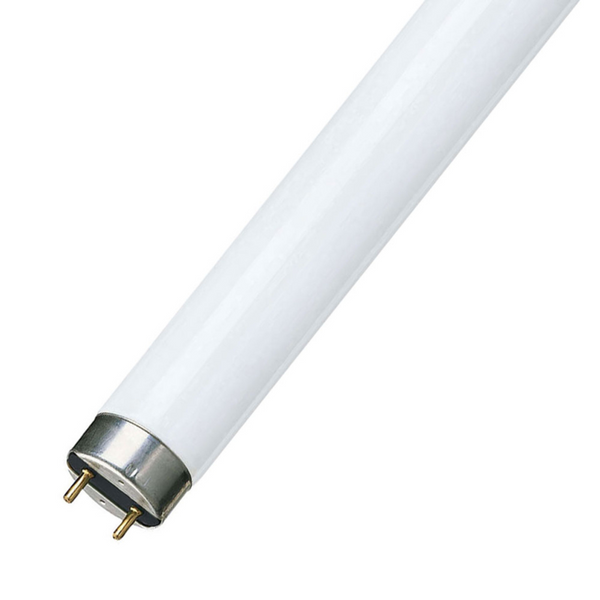 Fluorescent Tube 36W/827 T8 POLYLUX Thorn EMI image 1
