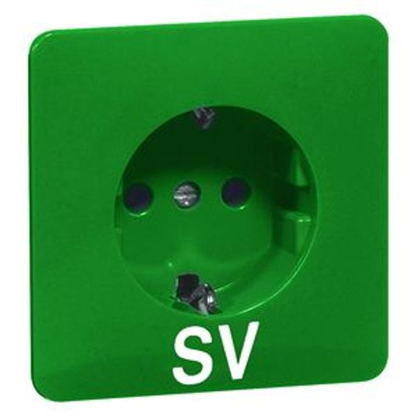 STANDARD wcd 1-voudig, met ra, schroefopdruk SV, groen image 1