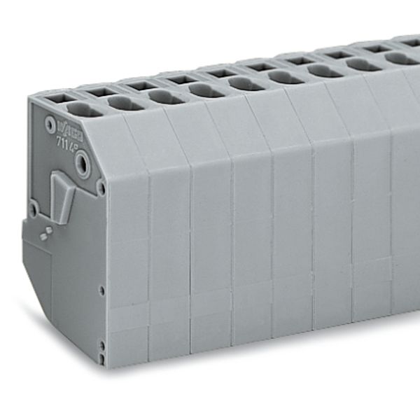 Transformer terminal block 2-pole CAGE CLAMP® connection for conductor image 2