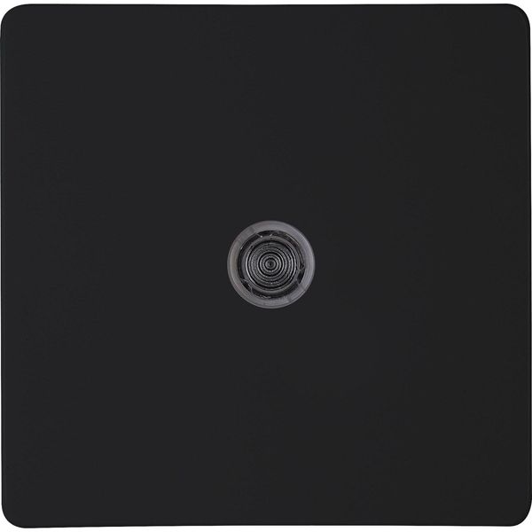 Rocker pad with lens, transparent mb image 1