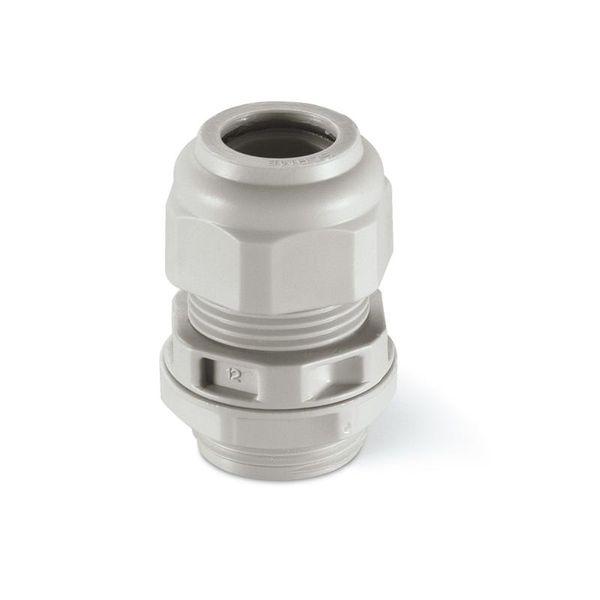 CABLE GLAND PG 13,5 LIGHT VERSION BULK image 1