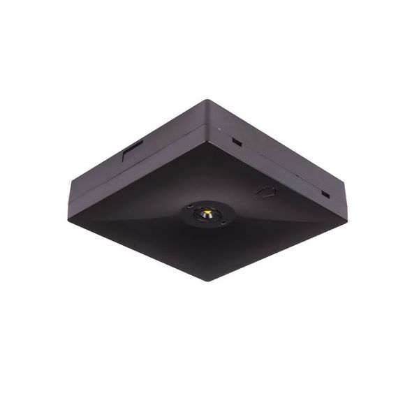 Starlet QUAD LED SCH 250 SA 1H MT [BLK] image 1