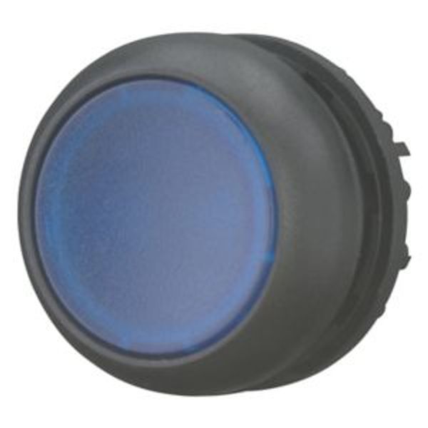 Illuminated pushbutton actuator, RMQ-Titan, Flush, momentary, Blue, Blank, Bezel: black image 2