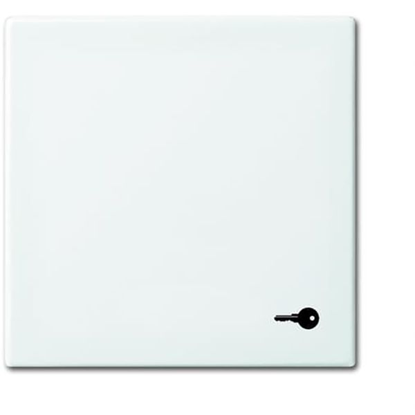 2520 TR-914 CoverPlates (partly incl. Insert) Busch-balance® SI Alpine white image 1