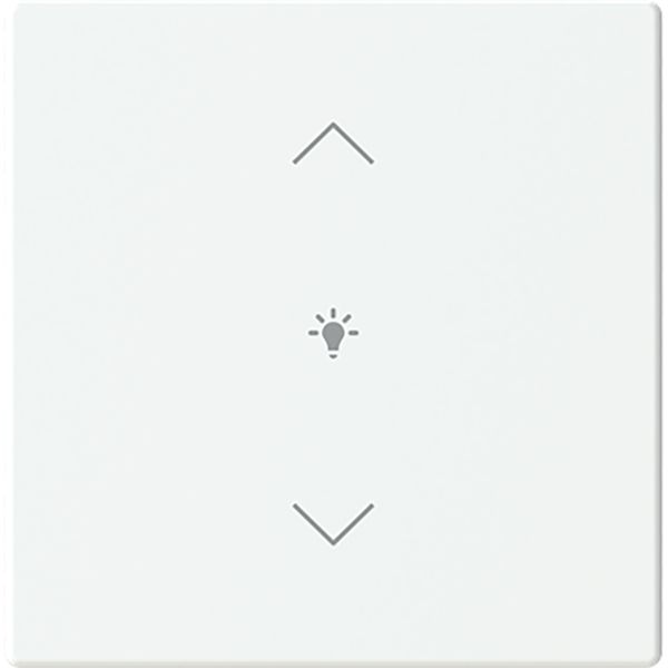 Cover for dimmer icon 1. Rocker keypad 63 image 1