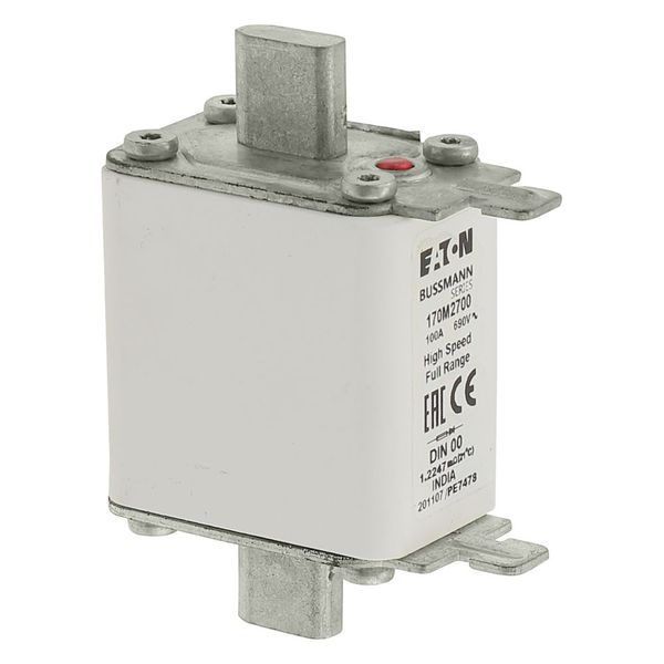 Fuse-link, high speed, 100 A, AC 690 V, DIN 00, 30 x 60 x 79 mm, gR, DIN, IEC, single indicator image 10