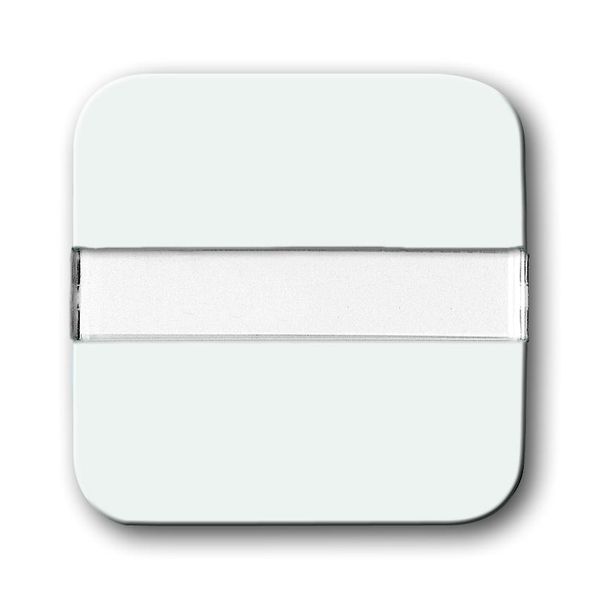2510 NLI-214 CoverPlates (partly incl. Insert) carat® Alpine white image 1